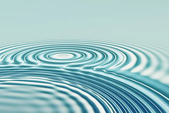 Gala Kaszinó Támogatás